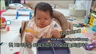 바나나를 스스로 먹어보아요 자기주도 이유식의 시작ㅋ cutebabymukbang koreanlanguage koreanbaby [upl. by Annaliese]