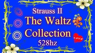 65 Minutes of Strauss 528hz [upl. by Christmann172]