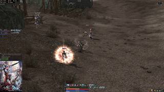 Lineage 2  Skirmish with the enemies in Varka at night  Elmorelab Teon x1 C4 [upl. by Elva]