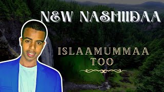 new Nashiidaa islammummaa Too 2023 Ramadaan Abdii alii [upl. by Rochester981]