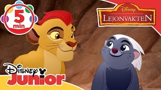 Lejonvakten  Lejonvaktens musikmedley 🎶 Disney Junior Sverige [upl. by Kahler]