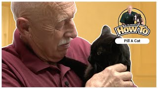 Dr Pol Presents  How To Give a Cat a Pill [upl. by Favien]