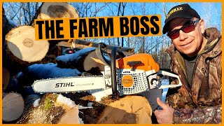 Stihl MS 271 Farm Boss Chainsaw  Why I Chose This Chainsaw [upl. by Akemrehs160]