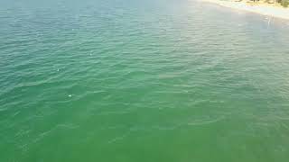 Saugatuck Michigan By Drone [upl. by Enohsal972]