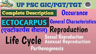 ECTOCARPUSComplete Theoretical Description [upl. by Farrica]