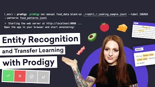 Training a NAMED ENTITY RECOGNITION MODEL with Prodigy and Transfer Learning [upl. by Peppel105]