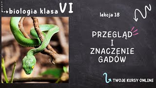 Biologia klasa 6 Lekcja 18  Przegląd i znaczenie gadów [upl. by Edlun362]