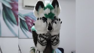 My boyfriends first time in a Fursuit😲 [upl. by Spracklen]