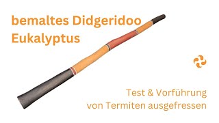 bemaltes Eukalyptus Didgeridoo  von Termiten ausgefressen  Klänge amp Details  für Fortgeschrittene [upl. by Silrak]