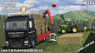 New chicken coop amp rolling fields  Animals on Untergriesbach  Farming Simulator 19  Episode 10 [upl. by Mutua]