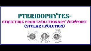 PteridophytesStructure from evolutionary viewpoint Stelar evolution [upl. by Siaht]