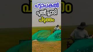 ബൈക്ക് കൊണ്ട് പുൽച്ചാടി പിടുത്തം grasshoppers catching motobikes malayalam shorts [upl. by Sofko]