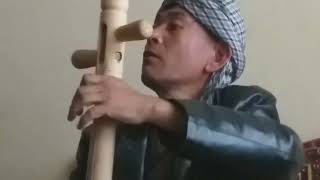 dambora Afghanisong best dambora bashirbaghlani amp shairalibaghlani 2022 [upl. by Stranger60]