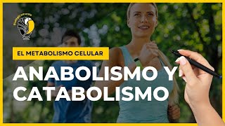 METABOLISMO CELULAR 👉🥑 Anabolismo y Catabolismo [upl. by Airad]