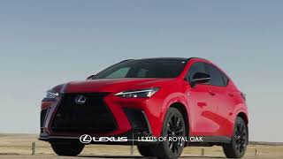 The Lexus NX F Sport 2 [upl. by Novyaj]