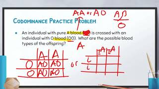 Biology Video 72 Complex Inheritance Patterns [upl. by Filbert205]