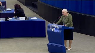 Beprasmybė Nr 10  Aušra Maldeikienė Advokatas Stanislovas Tomas Europos Parlamento rinkimai [upl. by Enilhtak245]