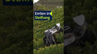 Ernten im Steilhang unserland modernelandwirtschaft shorts [upl. by Sidonia]