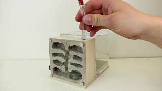 The THA Fortress  Formicarium Review amp Tutorial [upl. by Junina878]