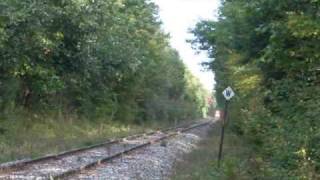 Railfanning NECR amp Amtrak at My Spot MP 8095 [upl. by Innis]