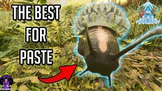 ACHATINA The PASTE Making Machine  Taming amp Breed  Tips amp Tricks Ark Survival Ascended ASA Guide [upl. by Cassie]