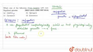 Which one of the following shows isogamy with nonflagellated gametes [upl. by Anir]