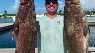 Spearfishing Bahamas Chub Cay August 2020 [upl. by Yme]