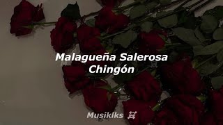 Malagueña Salerosa  Chingón Lyrics  Musiklks ☠️ [upl. by Darreg]