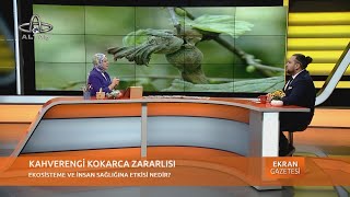 22 Ekim 2024 Ekran GazetesiVeteriner Hekimi Dr Burak Han KaraağaçKokarca Sokak Hayvanları Kedi [upl. by Connel]