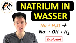 Was passiert mit NATRIUM in Wasser  Chemie Tutorial [upl. by Annayd]