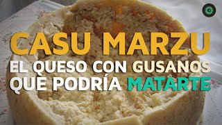 Casu Marzu El queso con gusanos que podría matarte [upl. by Aicatan]