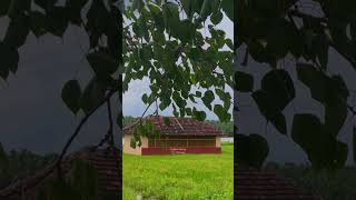 ✨Vazhalikkavu Bhagavathy Temple🕉️🙏temple vazhalikkavu natural templte malayalam nature [upl. by Dnalyag369]