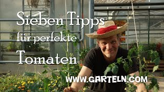 Tomaten pflanzen  Sieben Tipps für perfekte Tomaten 🍅 in eurem Garten und auf dem Balkon [upl. by Calendra613]