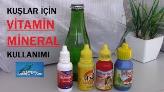 Kafes Kuşları İçin Vitamin ve Mineral Nasıl Kullanılır [upl. by Nilved]