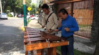 Tehuantepec  Interpretado en marimba [upl. by Ssidnac136]