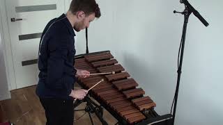 Xylophone orchestral excerpt Igor Stravinsky Fire Bird [upl. by Granny]