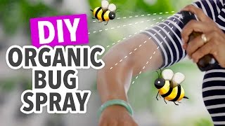 DIY Bug Repellent  Organic amp Natural  HGTV Handmade [upl. by Ricardo]