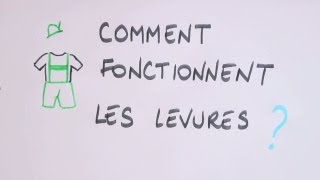 Comment fonctionnent les levures [upl. by Ijok]