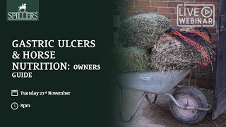 Gastric Ulcers and Horse Nutrition Owners Guide WEBINAR [upl. by Ilan]