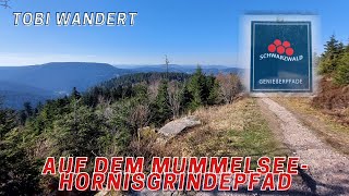 Auf den höchsten Berg des Nordschwarzwaldes 1164m  Genießerpfad Mummelsee Hornisgrindepfad [upl. by Anneh]