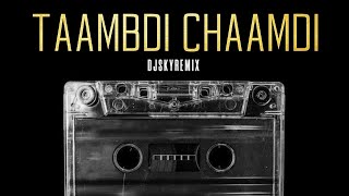 Taambdi Chaamdi  Shreyas amp Kratex  DjSkyRemix [upl. by Zaob]