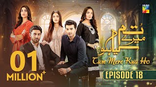 Tum Mere Kya Ho  Episode 18  9th May 2024  Adnan Raza Mir amp Ameema Saleem   HUM TV [upl. by Wettam564]