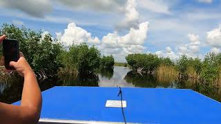 Everglades City Airboat Tour  Big Cypress Preserve  Part 3 [upl. by Aihsenad824]