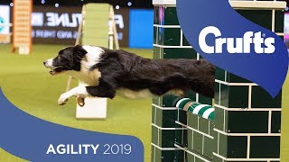 Agility  Championship Final  ​Crufts 2019 [upl. by Enaxor]