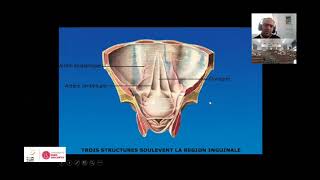 Cours Anatomie architecture de péritoineDr Bassem Abid [upl. by Dadelos]