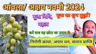 अक्षय नवमी 2024 में कब है Akshay Navami 2024 mein Kab Hai Amla navami kab hai आंवला नवमी कब है 2024 [upl. by Hnad]