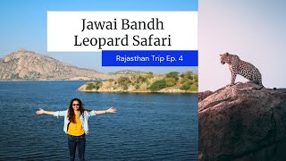 Jawai Bandh Leopard Safari  Jawai Bandh Rajasthan  Jawai Leopard Safari  Eat Travel Fun [upl. by Aseretairam]