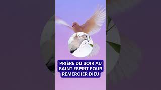 Prière du SOIR au SAINT ESPRIT ✨ POUR REMERCIER DIEU shorts [upl. by Mendoza]