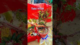 Tulsi Vivah bhajan tulsimatakebhajan bhaktisong tulsibhajan song tulsimatakabhajan tulasi [upl. by Eph88]