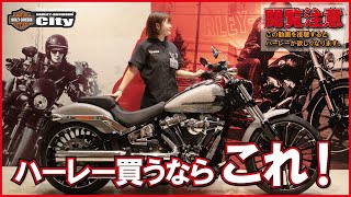 【ハーレー買うならこれ！】クロームが輝くカスタムクルーザー、ブレイクアウトを細かくご紹介！【一押し車両】 [upl. by Vincenta170]